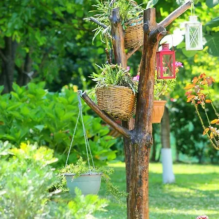Villa Diamond Garden House *