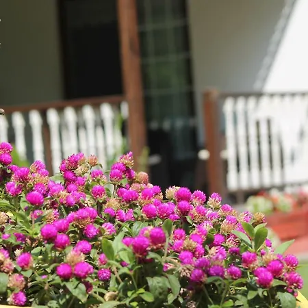 Villa Diamond Garden House Kocaeli