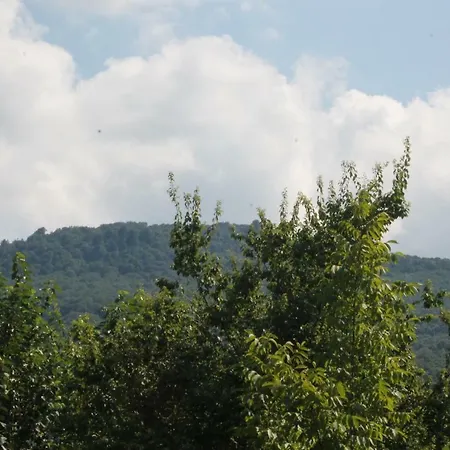Diamond Garden House Villa Kocaeli